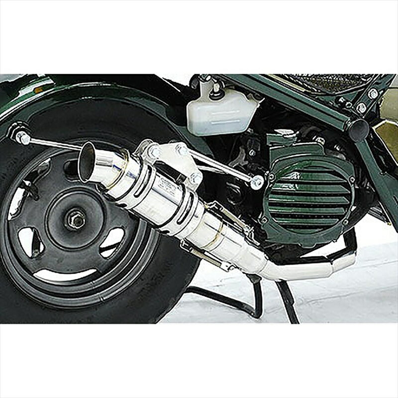 バイクパーツ マフラーウイルズウィン ハイパフォーマンスマフラー 872-18-01 4547567655732ZOOMER AF58