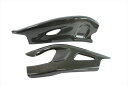バイク用品 ライテック スイングアームプロテクター ドライカーボン CBR1000RR-R SP 20-21CARH2160 8052393425719取寄品