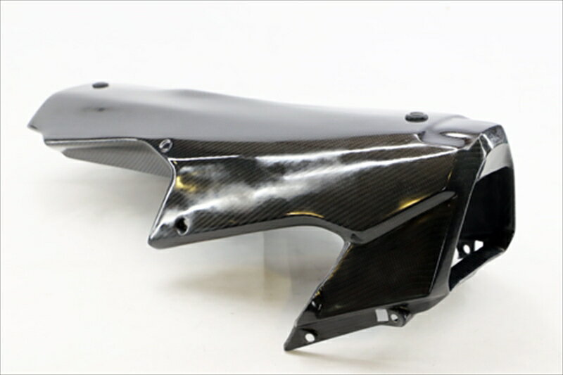 外装 アンダーカウルSPL FB aprilia RS660 21-AP6731 4524446151585取寄品