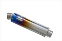 マフラー ストレートテール レーシング BURN UP CBR1000RR 06-07H02E-FBR-S00 4548664059928取寄品
