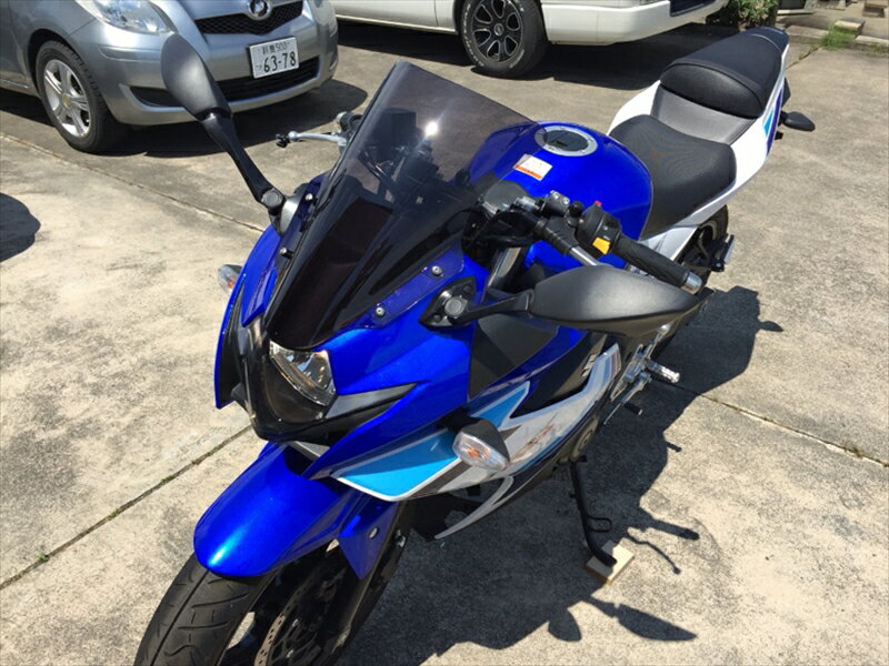 外装 スクリーン ストリート スモーク GSX250R 17160221 4580423291552取寄品