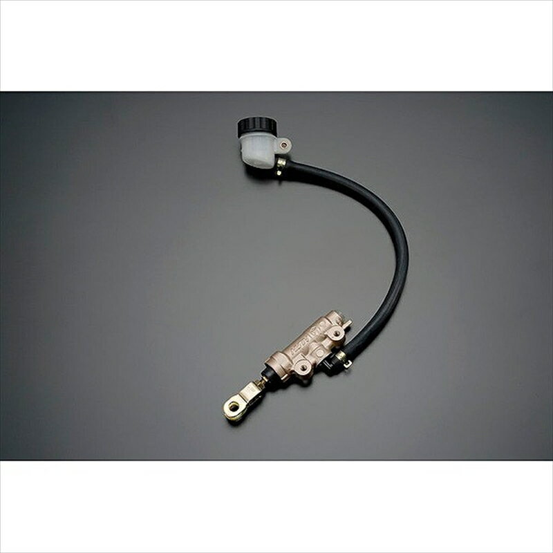 バイクパーツADVANTAGE(アドバンテージ) NISSINリアマスター RM 1/2φ ADRM-60-GSL4548664498925オース..