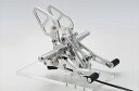 ステップ アエラ AELLA ライディングステップキット WT RnineTAE-10074-WT 4548916390472取寄品