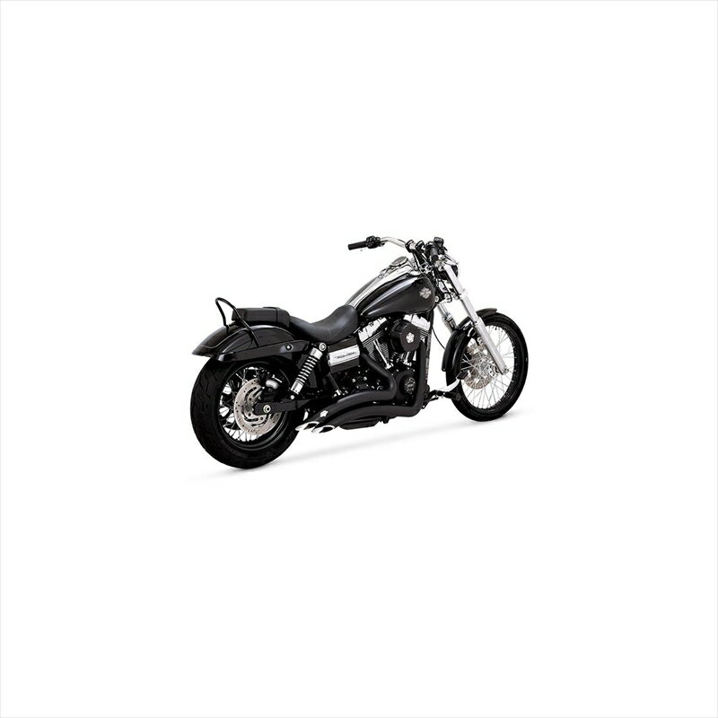 バイクパーツ マフラーバンスアンドハインズ BigRadius 2-2 PCX ビッグラディウス ブラック マフラー1800-2587 4550255796877DYNA 06-17