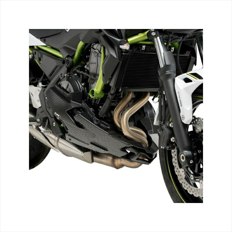 バイクパーツ 外装プーチ エンジンスポイラー カーボンプリント 20295C 4571414950497Z650 20-