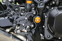 外装 ベビーフェイス ベビーフェイス フレームキャップ ゴールド4pc Z900RS 18- 005-K0013GD 4589981514370 取寄品