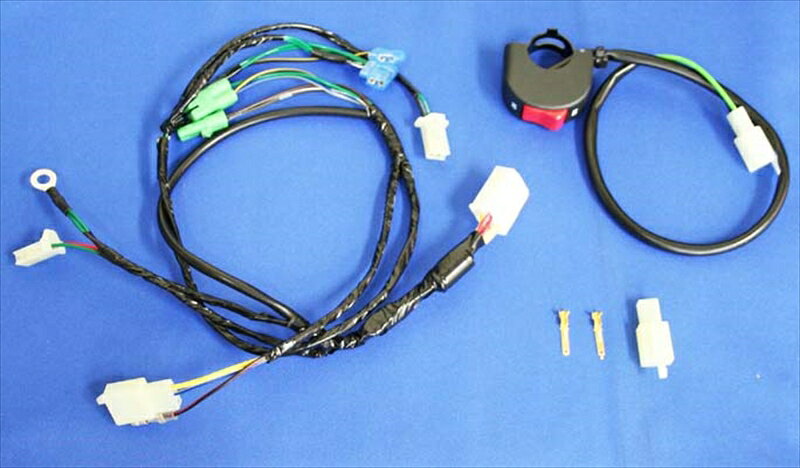 電装系 シーエフポッシュ CF-POSH レーシングハーネスキット APE50 100(TypeD・FI車 除く) 295215 4947934056283 取...