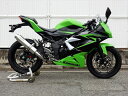 マフラー ダブルアールズ WR`S S O ラウンドステンレスサイレンサー Ninja250SL ABS (JBK-BX250A) BF4260JM 4548916419951 取寄品