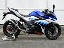 マフラー ダブルアールズ WR`S S O ラウンドカーボンサイレンサー GSX250R 17-(2BK-DN11A) BC3220JM 4549950529705 取寄品