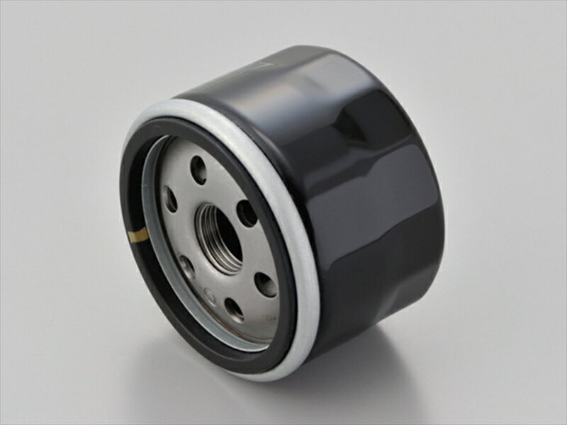 【5日前後で発送】 メンテナンス デイトナ DAYTONA リプレイスオイルフィルター S1000RR 21043 4909449579091 取寄品