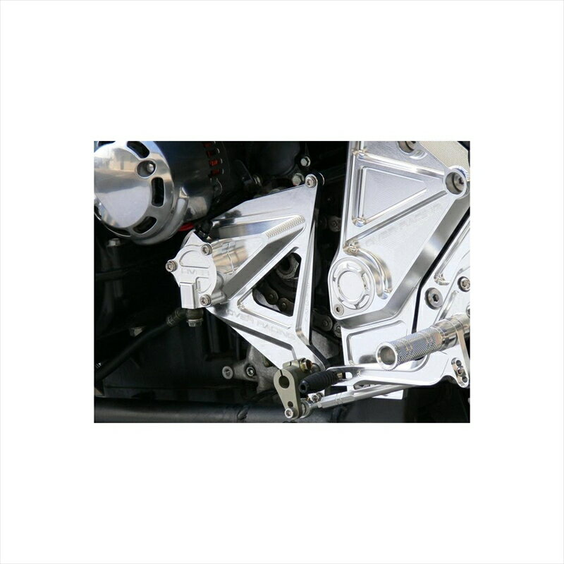バイクパーツ 駆動系オーヴァーレーシング スプロケットカバー57-73-15 4539770102301ZEPHYR1100