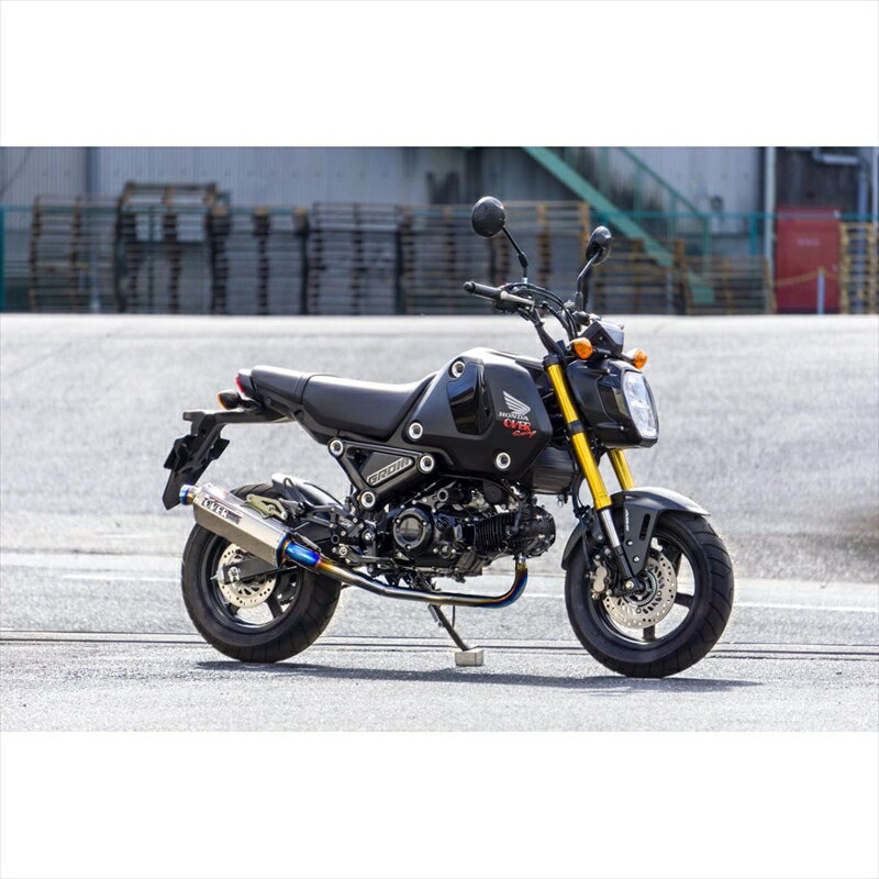 Хѡ ޥե顼졼 TT-Formula16-224-01 4539770126956GROM(23/24-)