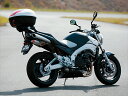 【5日前後で発送】 ジビ GIVI GIVI SR116M スペシャルキャリア GSR400 94043 4909449487594 取寄品
