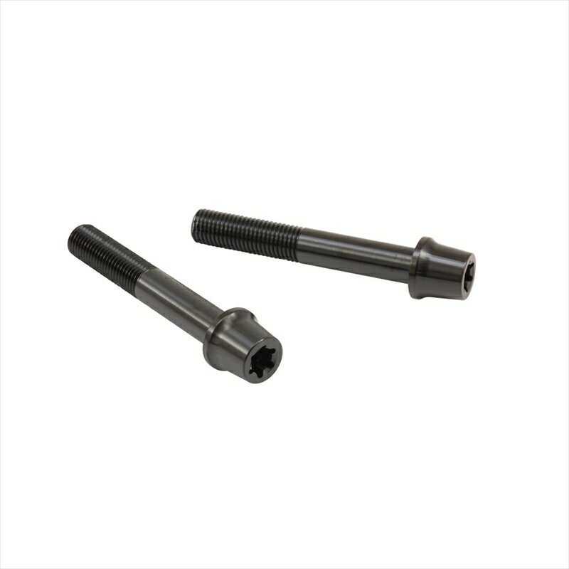 【5日前後で発送】バイクパーツ プロトブレンボ ステンレスキャリパーマウントボルト ブラックCMBT-065B 455025569026765mm テーパーキャップ M10/P1.25 ヘクサロビュラ 2本入