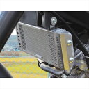 バイクパーツ 冷却系エッチングファクトリー ラジエターコアガード エンブレム黄RGY-XSR155-00 4550646123572XSR125 21-24/XSR155 22-24