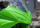 バイクパーツSAITANIYA FACTORY(サイタニヤファクトリー) ゼッケンカウル クロゲル 3K13NJ25RLC-B4548664933839