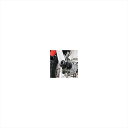 バイクパーツ 外装アールアンドジー フォークプロテクター BLKRG-FP0251BK 4573382096566CRF250 Rally 20-/CRF250...