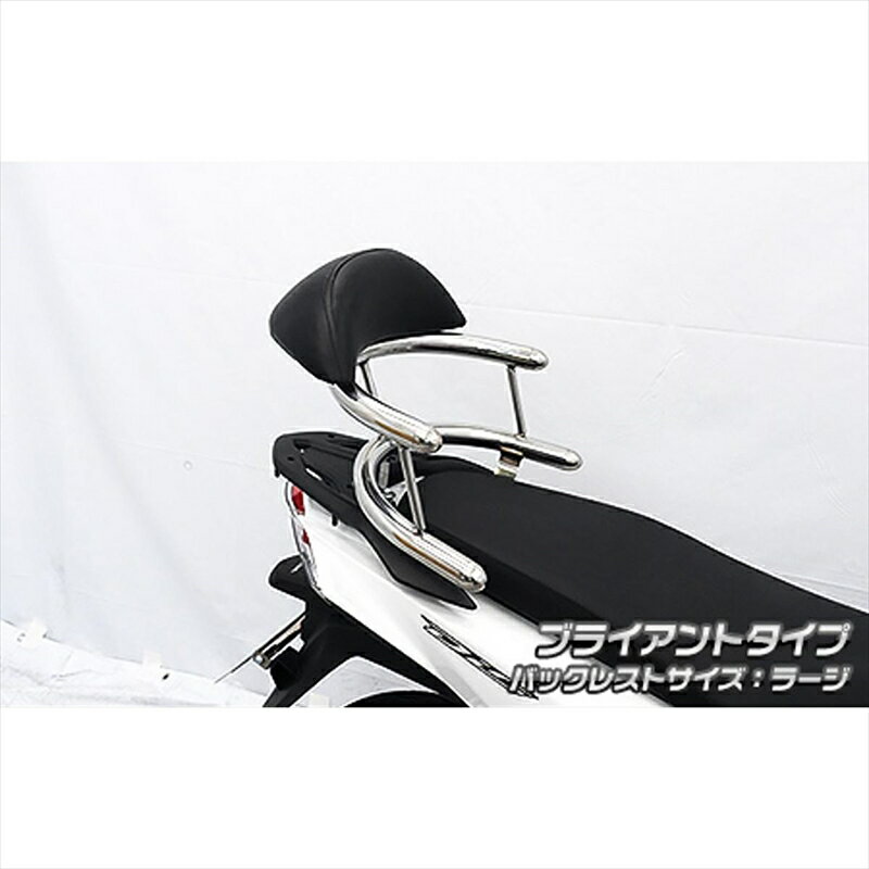 バイクパーツ 外装ウイルズウィン Bホールドタンデムバー BRY/L 4550255613334ディオ110(2BJ-JK03)