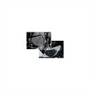 バイクパーツ 外装アグラス R/Sケースカバー2点右+ジェネB BLK342-306-006B 4549950856269GSX-S750 17-