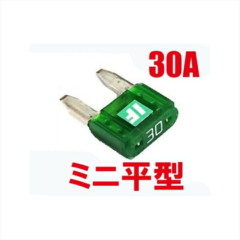 バイクパーツ 電装系アディオ ICE FUSE BK56110 4582437432792MINI 30A IF-MIN30A 汎用