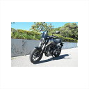 バイクパーツ 外装ワールドウォーク メーターバイザー ミドル クリア ws-31cm 4580007462392CB250R 18