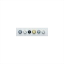 バイクパーツ ハンドルアントライオン アルミステムナット チタンブルー 07042-TB 4547424030108GSX1300R HAYABUSA/GSX-...