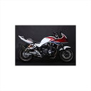 バイクパーツ マフラートリックスター レーシングS/O イカヅチブラックED RSS-103-L4BT 4573269964605CB1300SB/SF 03-...