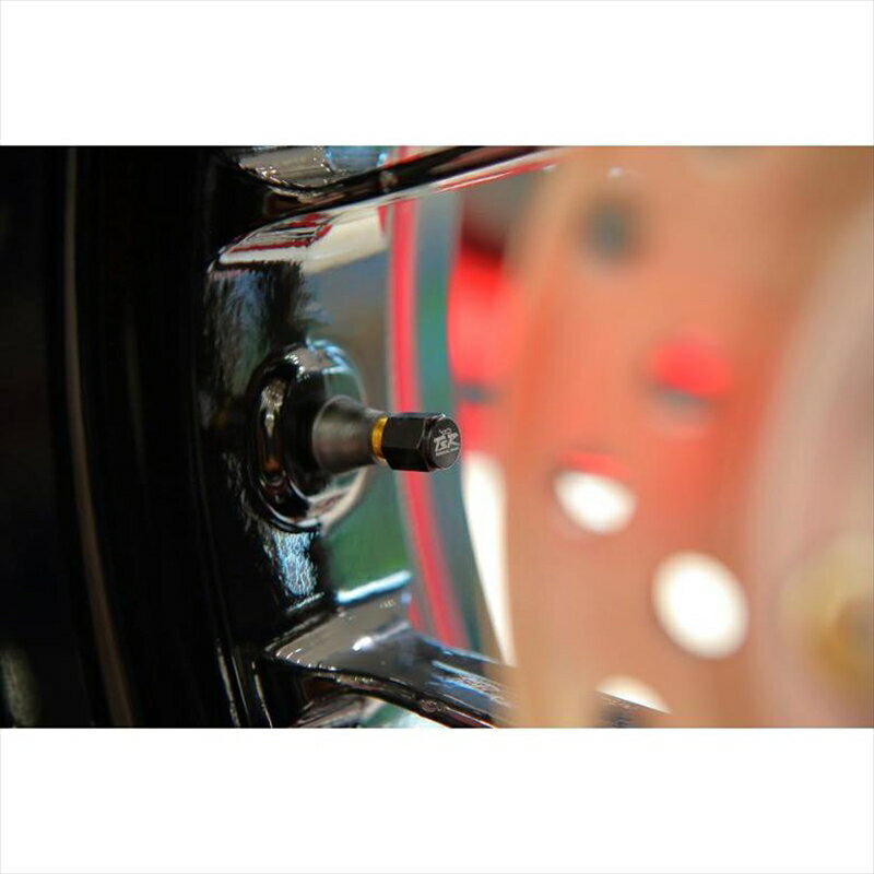 �Х����ѡ��� �ƥ��˥��륹�ݡ��ĥ졼���� TSR AIR VALVE CAP42753-HW0-000 457019727652