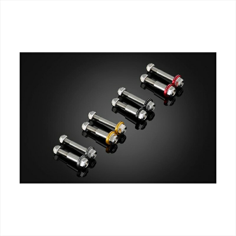バイクパーツ ハンドルバイカーズ レバー用 ステンレスボルト シルバーC0414-SLV 4550255935719Ninja250/400 18-24 Z250/400 19-23