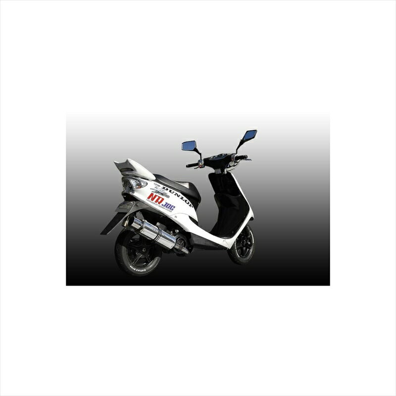 バイクパーツ マフラーエヌアールマジック V-ASTRO ファイナル MS9990-S10004 4548664639489アドレス110