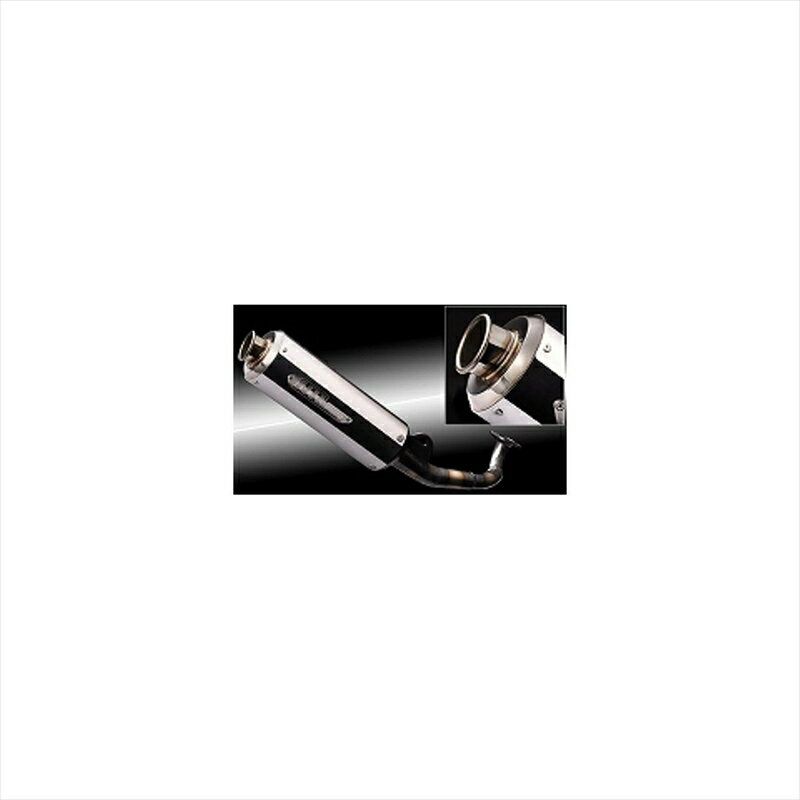 バイクパーツ マフラーエヌアールマジック V-SHOCK クリア 認証マフラー JVA000-H10023 4548664639571Today/Dio(4ストローク)(AF61/62/67/68)