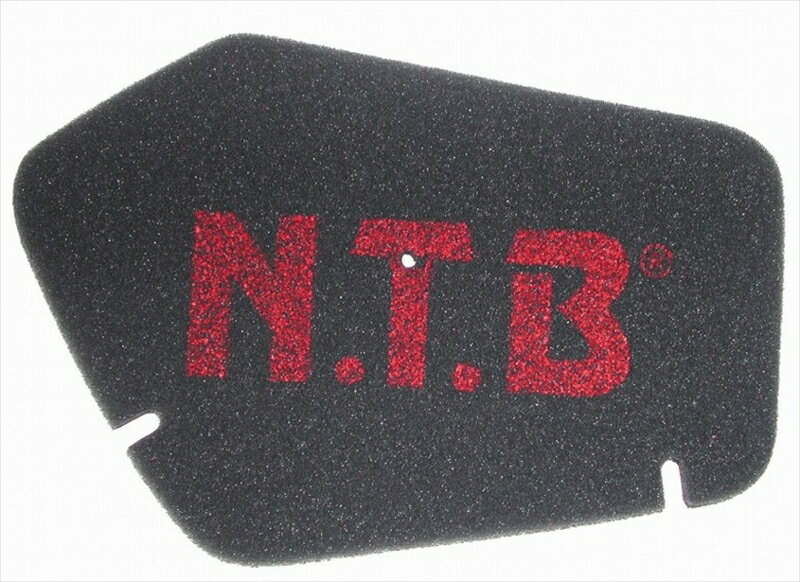 バイクパーツ エヌティービー NTB エアフィルター ライブDio J SR ST ZX AF34 35HA-1007 4510422059105ライブDio／J／SR／ST／ZX AF34／35