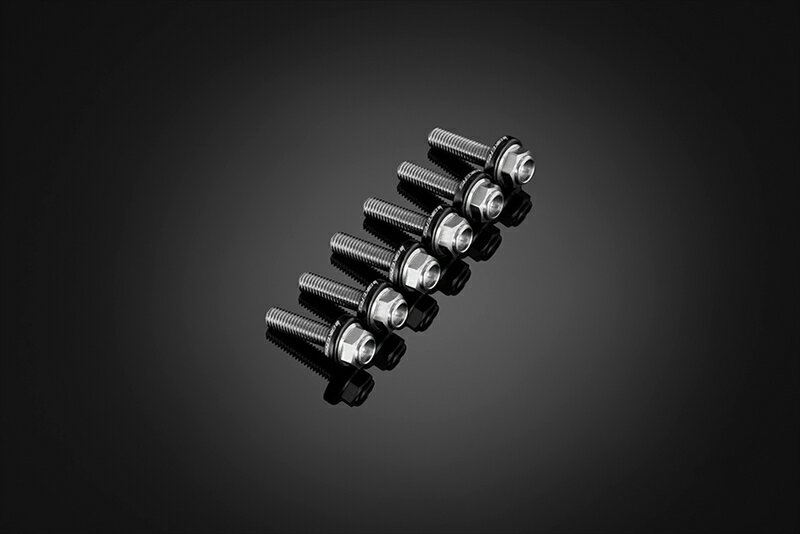 バイクパーツBIKERS(バイカーズ) スクリーン用 ステンレスボルト 6個 ブラックC0424-BLK4550255995645