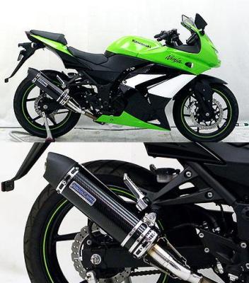 バイク用品 マフラーウイルズウィン WirusWin スリップオンマフラー ユーロ BLKカーボン Ninja250R1016-30-26 4548664188994取寄品 セール