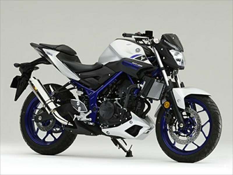 バイクパーツ マフラーAria(アリア) S/O ステンレス TypeS スラッシュエンド512-SO-003-024548916573097