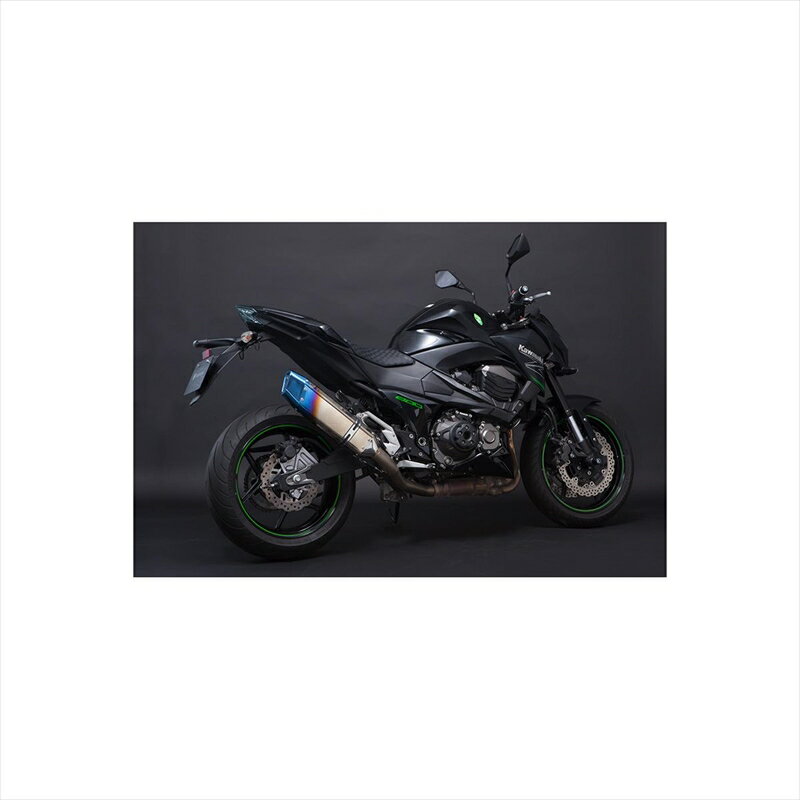 バイクパーツ マフラートリックスター レーシングS/O シングル IKAZUCHI RST-026-L4YT 4560417402522Z800