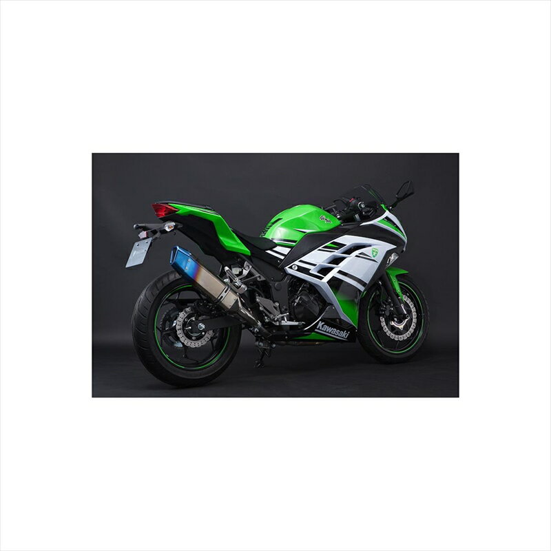 バイクパーツ マフラートリックスター レーシングS/O イカヅチ RSS-015D-L4YT 4560417402560Ninja250 13-17