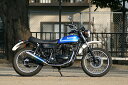 バイク用品 マフラーアールピーエム RPM 80D-RAPTOR Titan 250TR(キャブ&インジェクション)6023Z 4582287242183