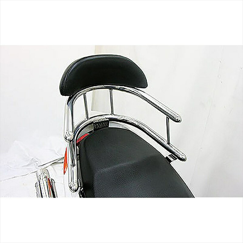 バイクパーツ 外装ウイルズウィン Bホールドタンデムバー BRY/L 163-03-11 4548664563456CYGNUS-X -06