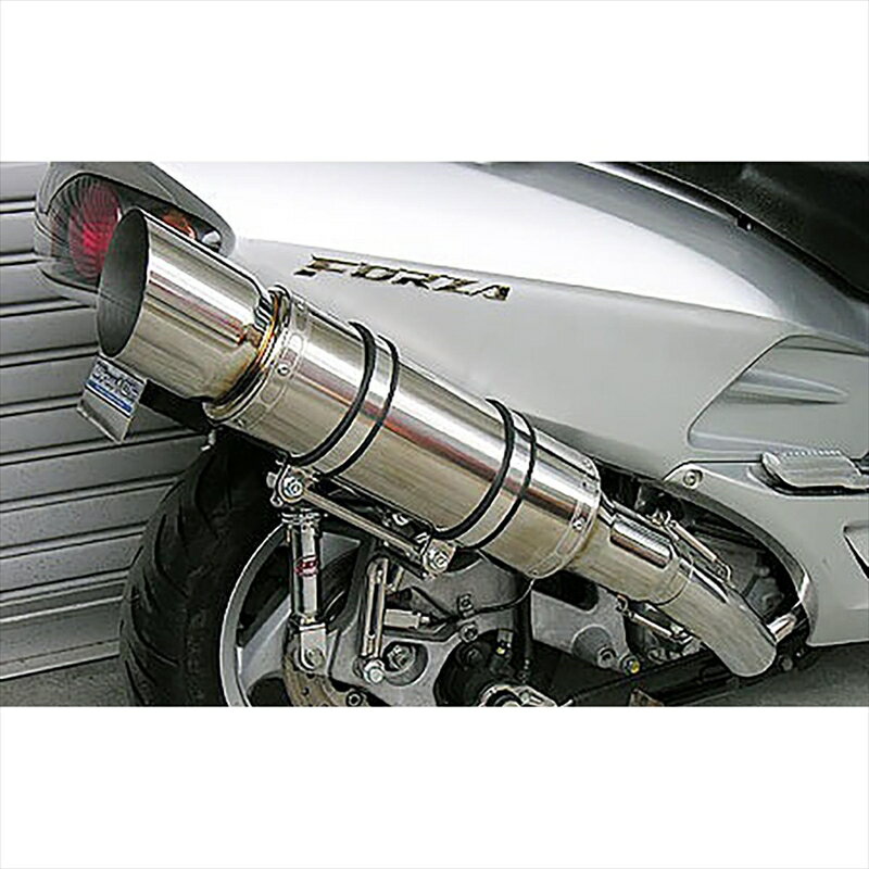 バイクパーツ マフラーウイルズウィン ビーストマフラー タイプE/POL212-10-11 4547424824462FORZA(MF06)