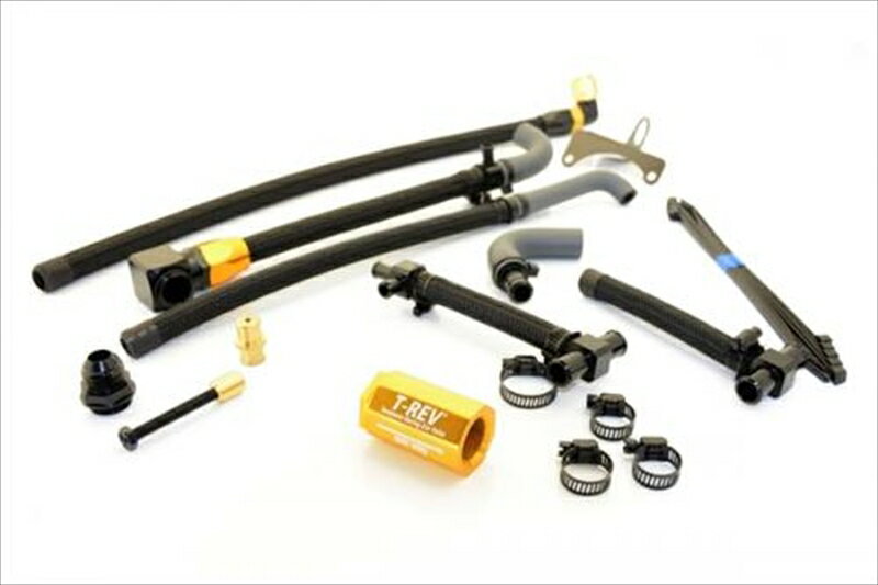 テラモト T-REVαシステムSPフルキット ゴールド ZRX1200DAEGSP-4715-Z02 4580663860235取寄品