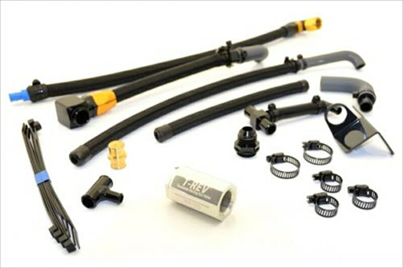 テラモト T-REVαシステムSPフルキット ゴールド ZRX1200R/SSP-4795-Z02 4580663860303取寄品