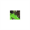 バイクパーツ ハンドルアールアンドジー ミラーブランキングプレート BLKRG-MBP0014BK 4571381483288NINJA250/300 13-1...