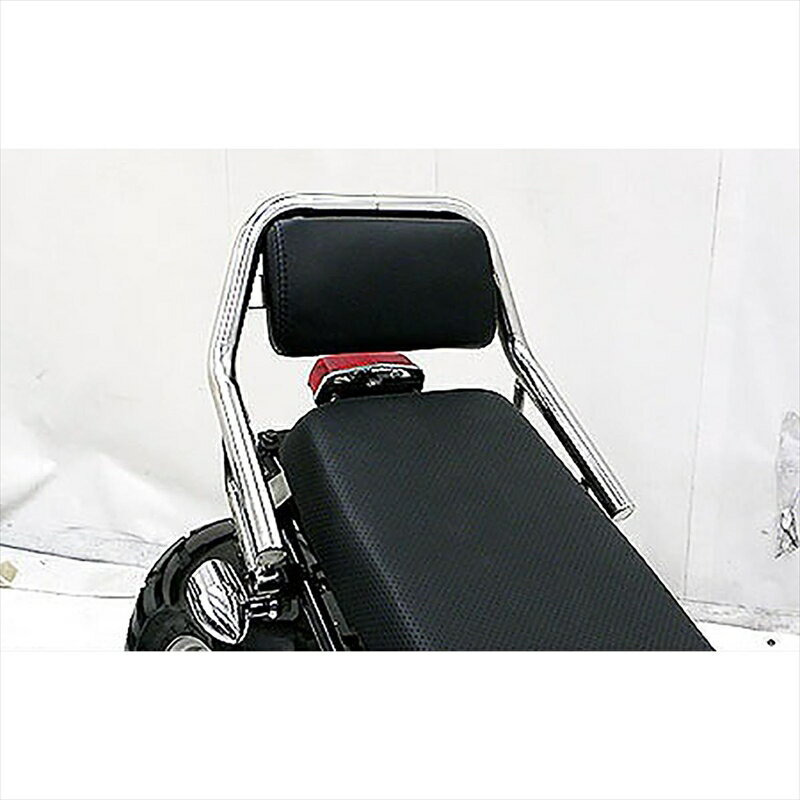 バイクパーツ 外装ウイルズウィン バックレスト付き タンデムバー 813-04-01 4548664584710TW200/225