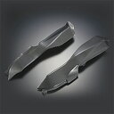 外装 エアダクトカバー カーボン 999/749DEP052 4547567894452取寄品