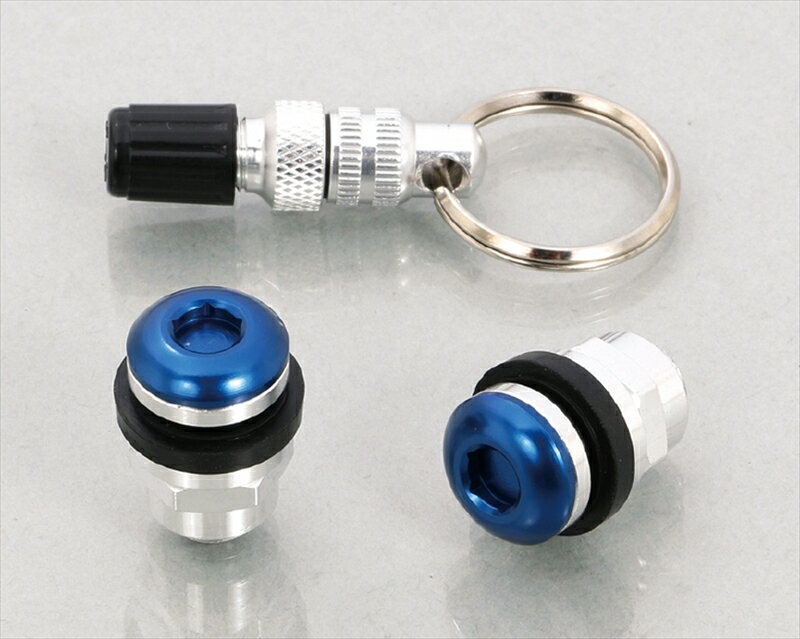 【5日前後で発送】 バイク用品 タイヤ ホイールKITACO キタコ インビジブルエアーバルブSET(BL) Type20901-509-00210 49908...