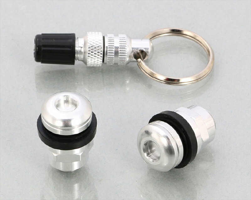 バイク用品 タイヤ ホイールKITACO キタコ インビジブルエアーバルブSET(SL) Type20901-509-00260 4990852116768取寄...