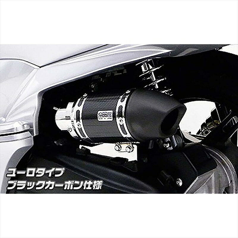 バイクパーツ ウイルズウィン サイレンサー型エアクリーナー/ユーロ BLK 264-01-06A 4548664997152PCX eSPエンジン用