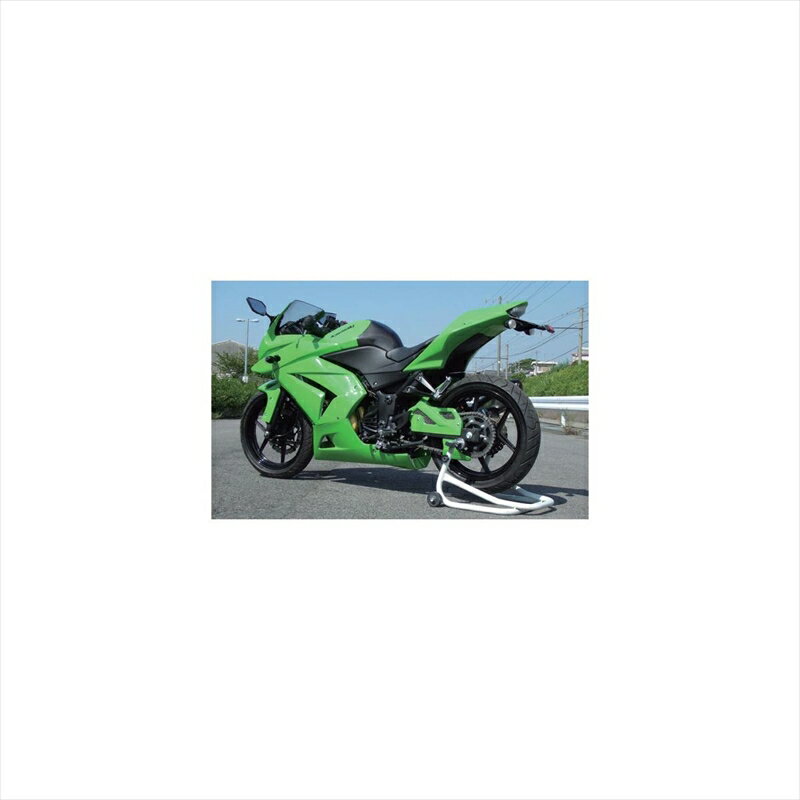  ե륫  ȥ꡼ Type1098 Ninja250R3KNJ25FCS-W1 4548664294732