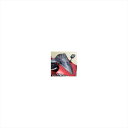 バイクパーツ 外装マジカルレーシング カーボントリムスクリーン アヤオリ/S.コート 001-YZR107-04AS 4548664487547YZF-R1 0...